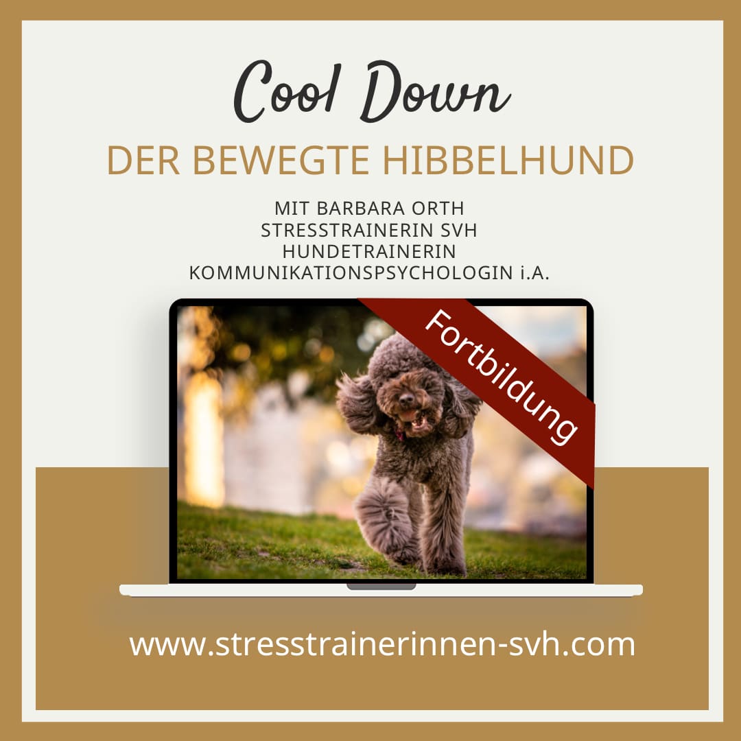 Lerhgang Fortbildung Hibbelhund Cool Down