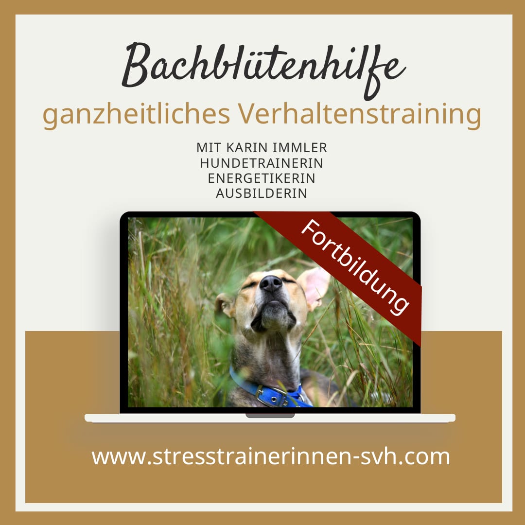 Lehrgang Fortbildung Bachblüten