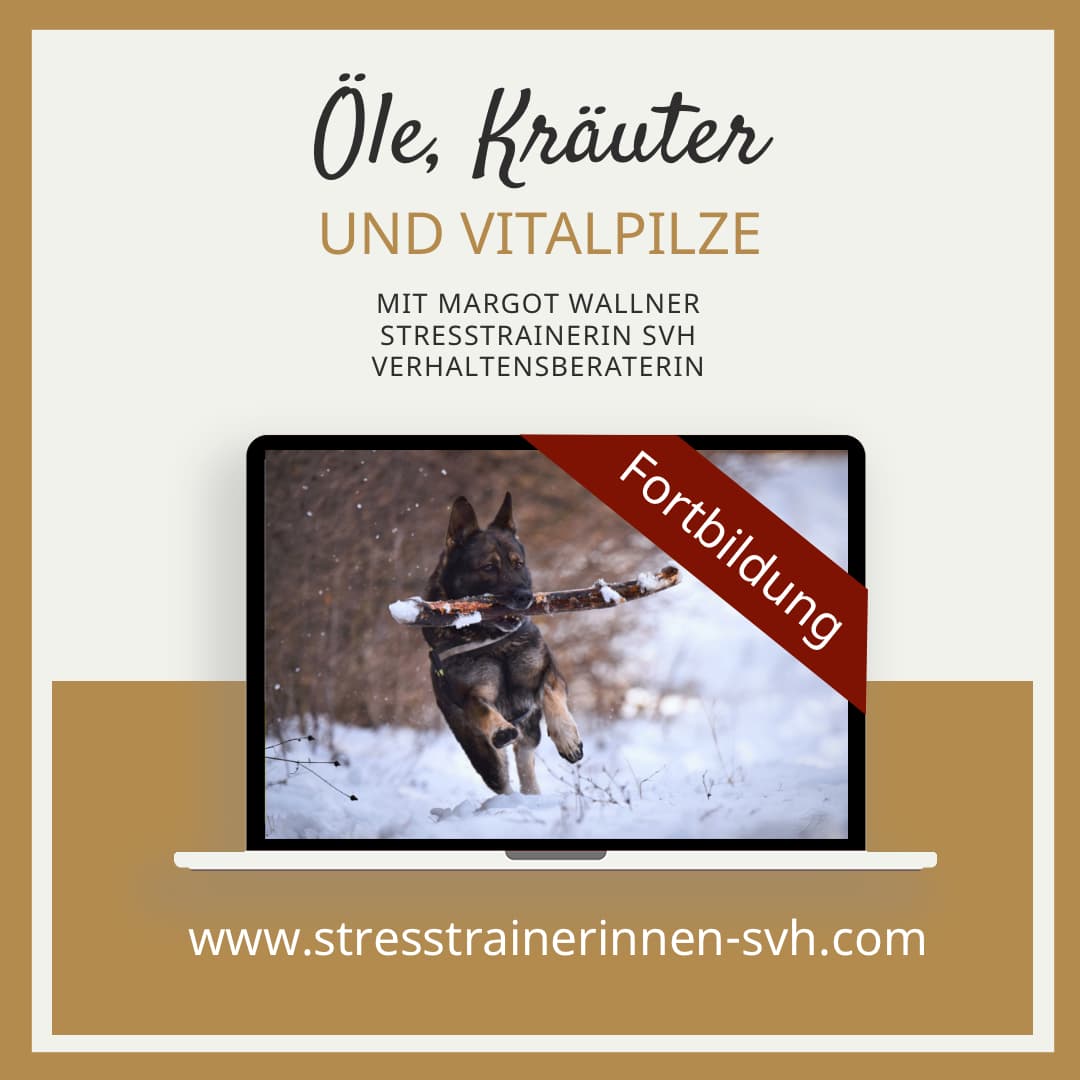 Öle und Kräuter für Hunde Lehrgang Fortbildung