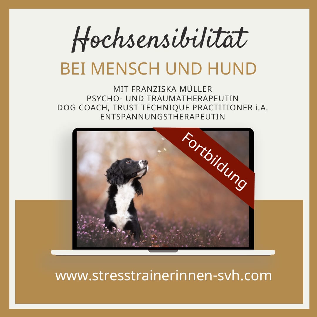 Lehrgang Hochsensibilität bei Mensch und Hund