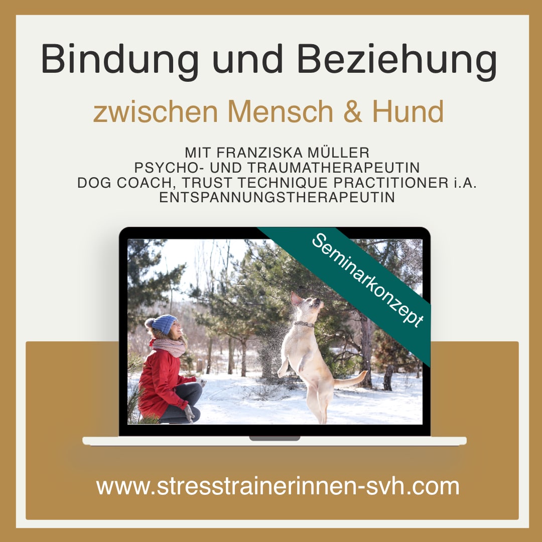 Seminar Konzept Bindung zum Hund