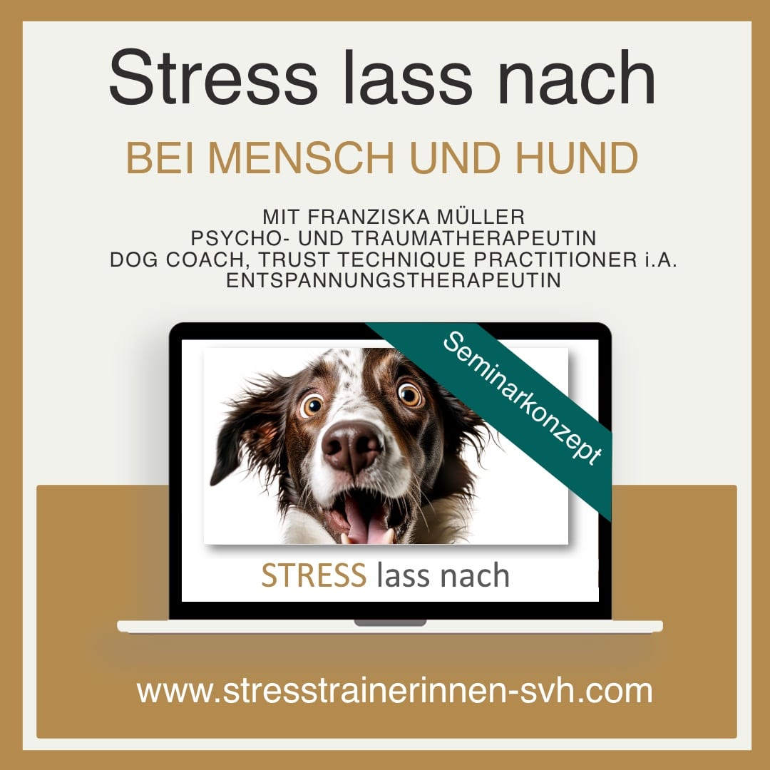 Seminarkonzept Stressfrei Hunde
