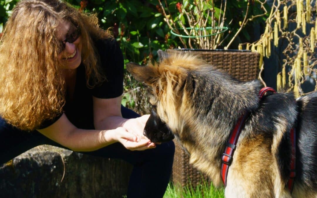 Zerrissenheit im Hundetraining